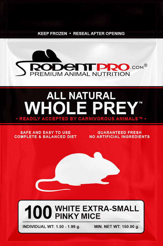 Buy Frozen White ExtraSmall Pinky Mice Bulk Pack of 100